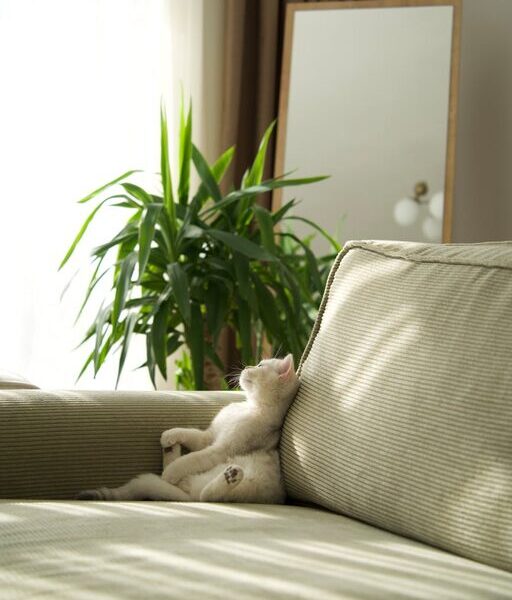 Simple Decor Changes to Create a Relaxing Home Environment