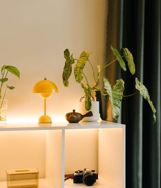 Affordable Tips for Creating a Cozy and Inviting Home